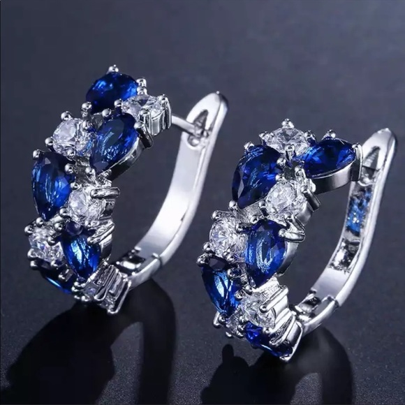 Jewelry - New 925 Silver Beautiful Heart Round Sapphire Earrings